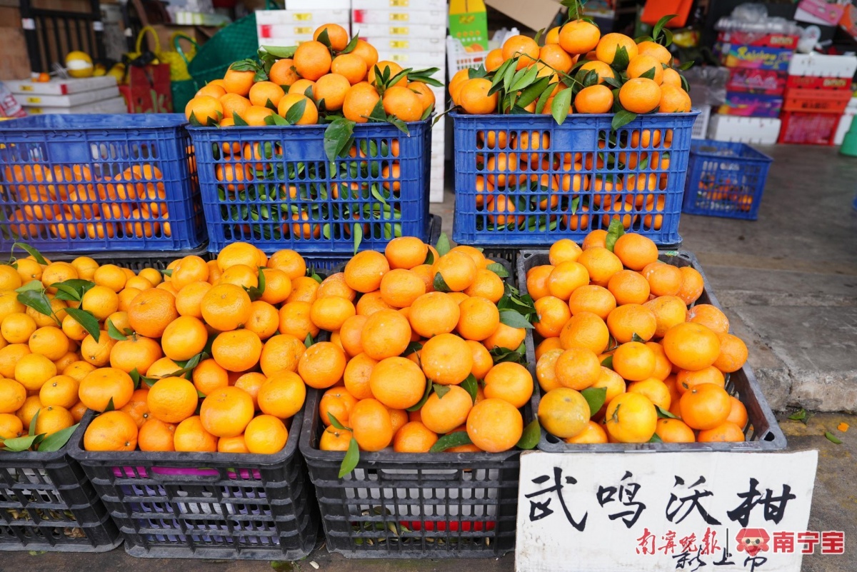 开云kaiyun官方网站皇帝柑、沃柑、砂糖橘、金桔你分得清吗？(图6)