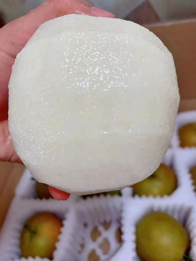 开云kaiyun官网2024鲜果！梨中极品·崇明翠冠梨清甜脆嫩多汁无渣好评满满~巅峰果期极短错过等明年！(图7)