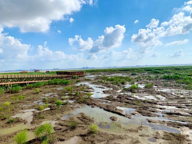 开云kaiyun官网2024鲜果！梨中极品·崇明翠冠梨清甜脆嫩多汁无渣好评满满~巅峰果期极短错过等明年！(图12)