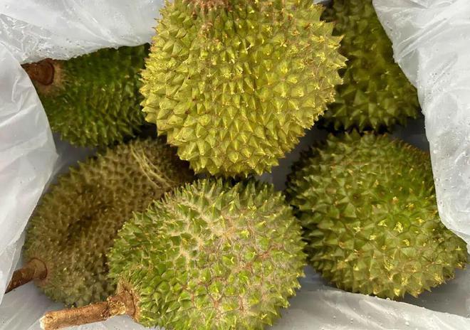 开云kaiyun官网慈溪人有口福啦！这款水果从马来西亚来每周3班空运！(图2)