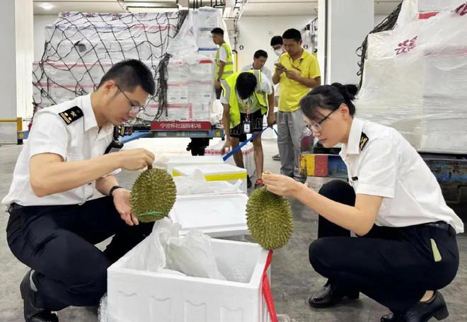 开云kaiyun官网慈溪人有口福啦！这款水果从马来西亚来每周3班空运！(图3)