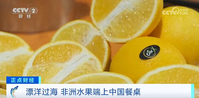 kaiyun登陆入口开云“果”然不一般！中非经贸合作亮点多 