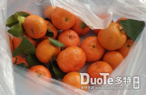 旋砂糖橘是什么梗kaiyun登陆入口开云(图3)