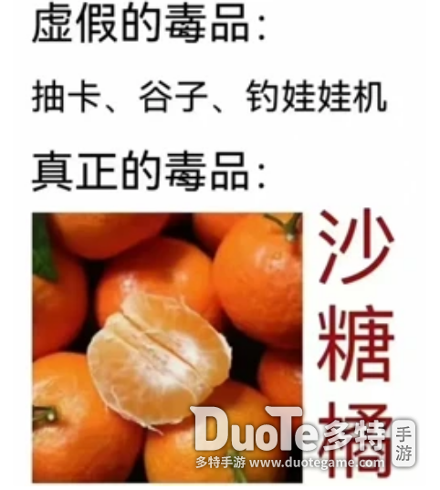 旋砂糖橘是什么梗kaiyun登陆入口开云(图5)