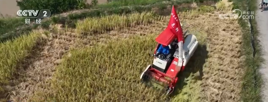 kaiyun登陆入口开云稻香果甜“丰”景美 各地喜迎“甜蜜”收获(图2)