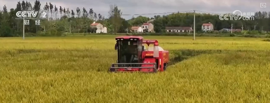 kaiyun登陆入口开云稻香果甜“丰”景美 各地喜迎“甜蜜”收获(图4)