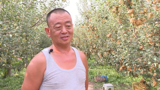 开云kaiyun官网@会宁在外游子老家的瓜果熟了！(图3)