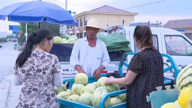 开云kaiyun官网@会宁在外游子老家的瓜果熟了！(图5)