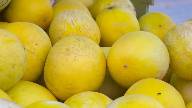 开云kaiyun官网@会宁在外游子老家的瓜果熟了！(图6)