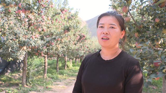 开云kaiyun官网@会宁在外游子老家的瓜果熟了！(图4)