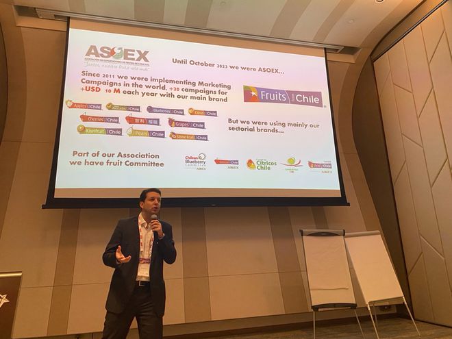 开云智利水果组团亮相亚洲国际果蔬展全新形象迎接2425智利水果季！(图3)