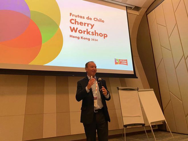 开云智利水果组团亮相亚洲国际果蔬展全新形象迎接2425智利水果季！(图2)