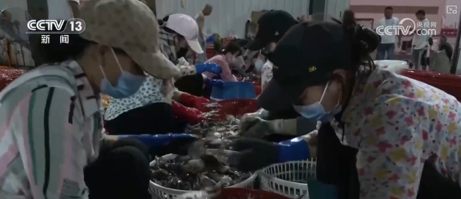 中秋消费市场价稳物丰 假日经kaiyun官网济“红红火火”(图14)