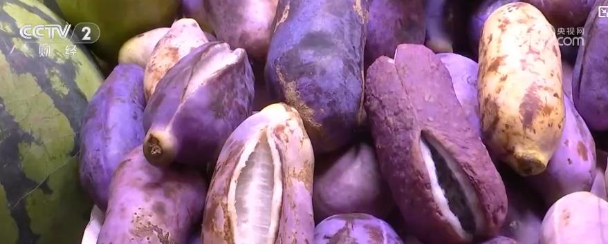 开云节日市场供应种类齐全 百姓中秋“果盘子”日益丰富(图3)