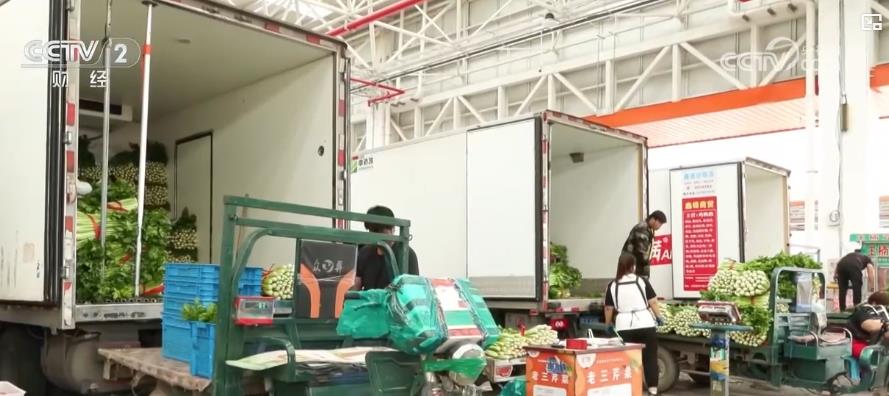 kaiyun中国官方网站“南北”蔬菜齐上新 中秋消费市场价稳