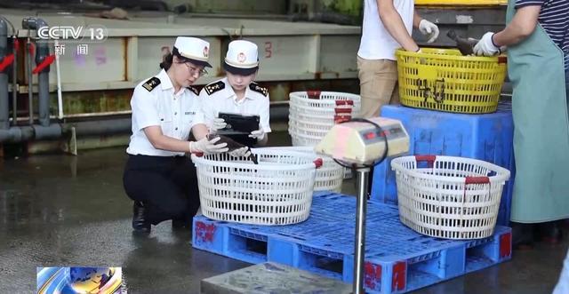 开云果蔬、梭子蟹、牛羊肉……多元消费让中秋市场“热”起来(图7)