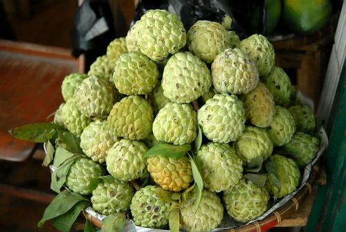 海南水果上市时kaiyun官网间表吃货们赶紧收了它吧(图2)