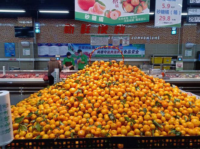 果农泪眼汪汪痛斥砂糖橘是“杀人橘”？砂糖橘究竟怎么了开云？(图12)