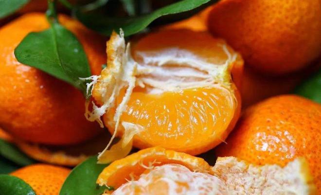 开云被寄予厚望的沙糖桔为何现在会成为大家口中的“杀人桔”(图3)