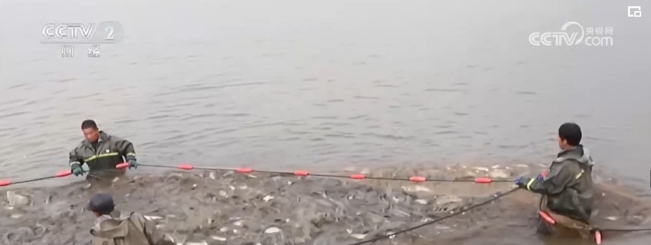 kaiyun中国官方网站“果盘子”“菜篮子”抢“鲜”供应市场 确保百姓欢欢喜喜过大年(图13)