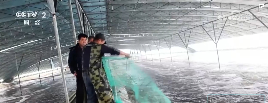 kaiyun中国官方网站“果盘子”“菜篮子”抢“鲜”供应市场 确保百姓欢欢喜喜过大年(图14)