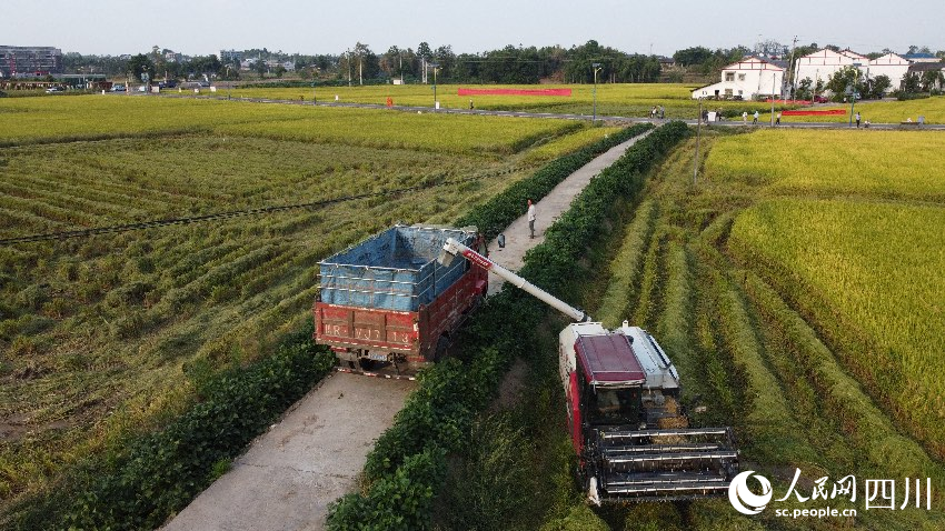 丰收时刻 看天府kaiyun中国官方网站粮仓(图2)