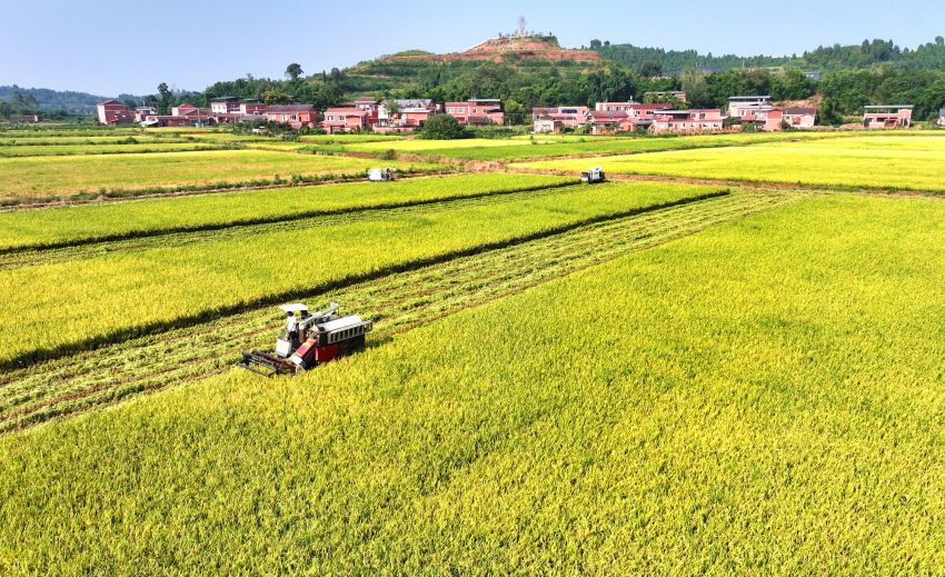 丰收时刻 看天府kaiyun中国官方网站粮仓(图3)