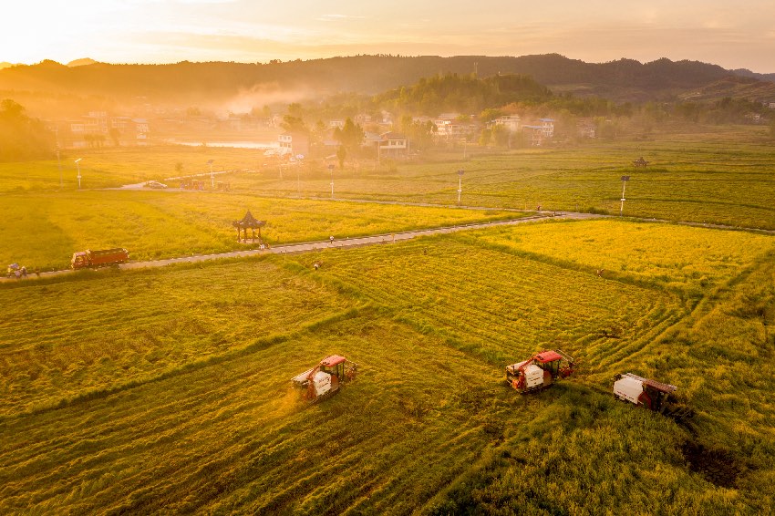 丰收时刻 看天府kaiyun中国官方网站粮仓(图4)