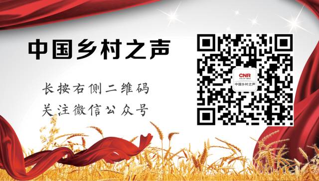 砂糖橘价格、销量比往年均下降 春节前后回涨