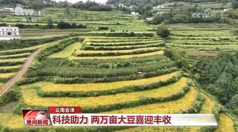 在希望的田野上 金灿灿的收成里写满丰收之喜和劳动之荣光(图2)