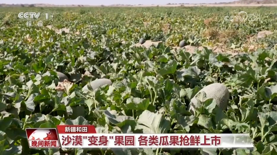 在希望的田野上 金灿灿的收成里写满丰收之喜和劳动之荣光(图3)