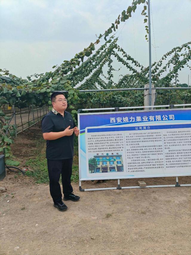 探寻周至猕猴桃产业高质量发展的甜蜜之旅——2024西安媒体主播猕猴桃产区行(图6)