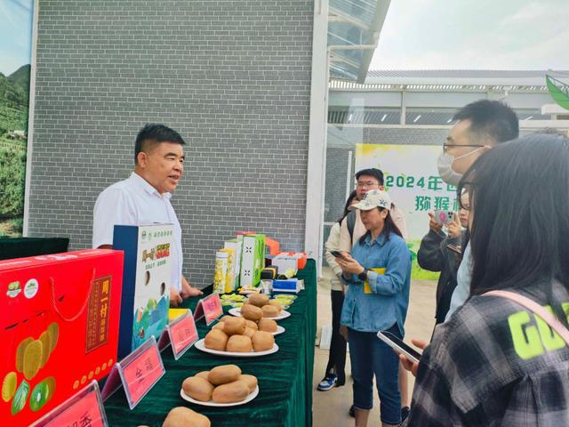 探寻周至猕猴桃产业高质量发展的甜蜜之旅——2024西安媒体主播猕猴桃产区行(图1)