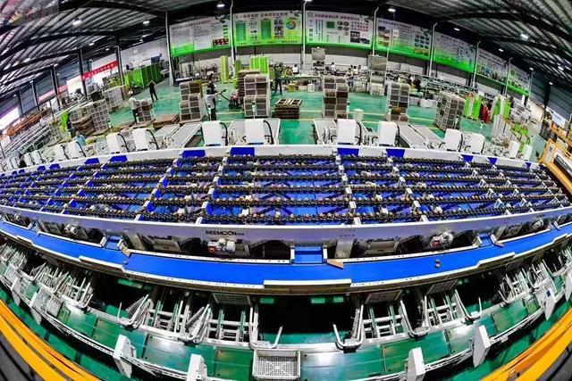 探寻周至猕猴桃产业高质量发展的甜蜜之旅——2024西安媒体主播猕猴桃产区行(图9)