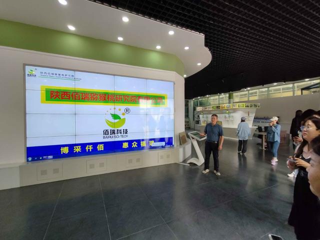 探寻周至猕猴桃产业高质量发展的甜蜜之旅——2024西安媒体主播猕猴桃产区行(图5)