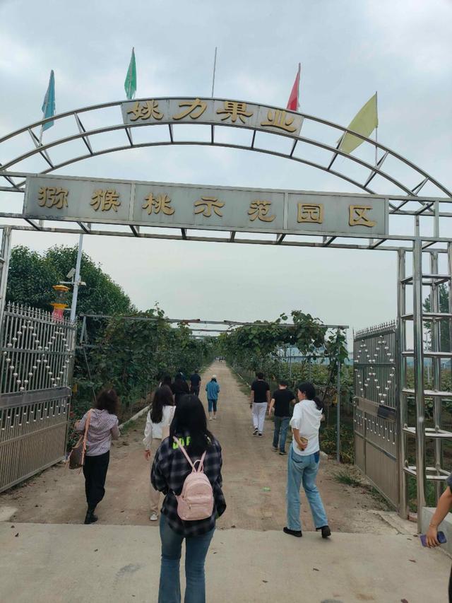 探寻周至猕猴桃产业高质量发展的甜蜜之旅——2024西安媒体主播猕猴桃产区行(图7)