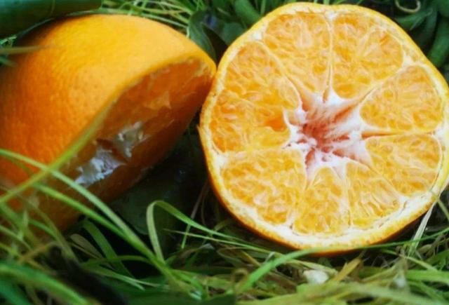 沙糖桔的市场如何能走出目前困境吗？一起来了解一下