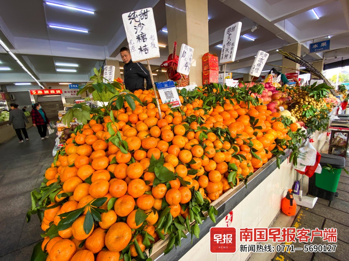 北方“大疙瘩”今年的砂糖橘你开“炫”了吗？