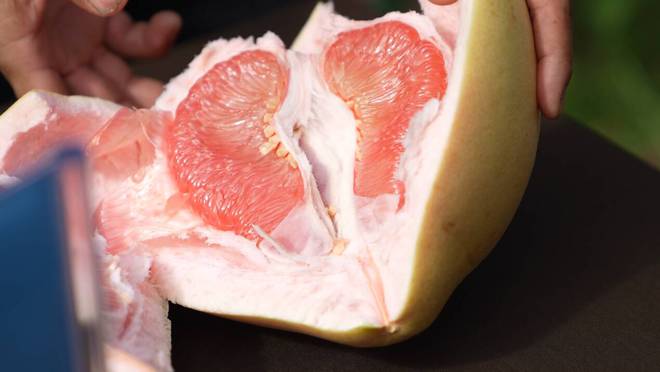 甜蜜的“柚”惑2024“了不起的农产品”品质中国行——福建平和三红蜜柚纪实(图4)