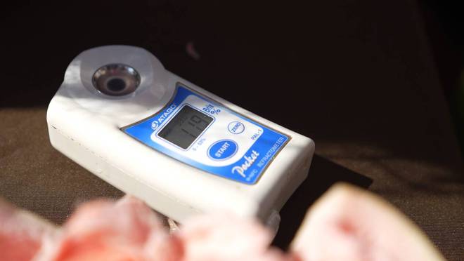 甜蜜的“柚”惑2024“了不起的农产品”品质中国行——福建平和三红蜜柚纪实(图7)