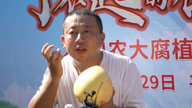 甜蜜的“柚”惑2024“了不起的农产品”品质中国行——福建平和三红蜜柚纪实(图9)