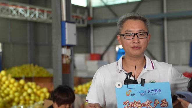 甜蜜的“柚”惑2024“了不起的农产品”品质中国行——福建平和三红蜜柚纪实(图12)