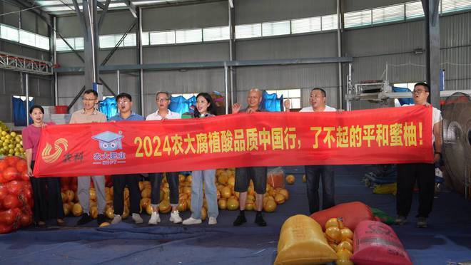 甜蜜的“柚”惑2024“了不起的农产品”品质中国行——福建平和三红蜜柚纪实(图13)