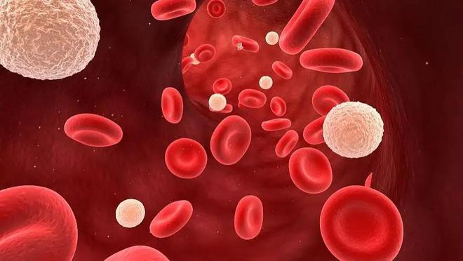 身上为什么总是青一块、紫一块的？医生直言：多半和8个原因有关(图4)