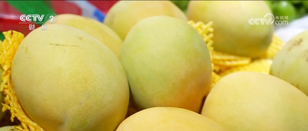 时令水果上市、海鲜种类丰富 居民“菜篮子”“果盘子”物丰价稳